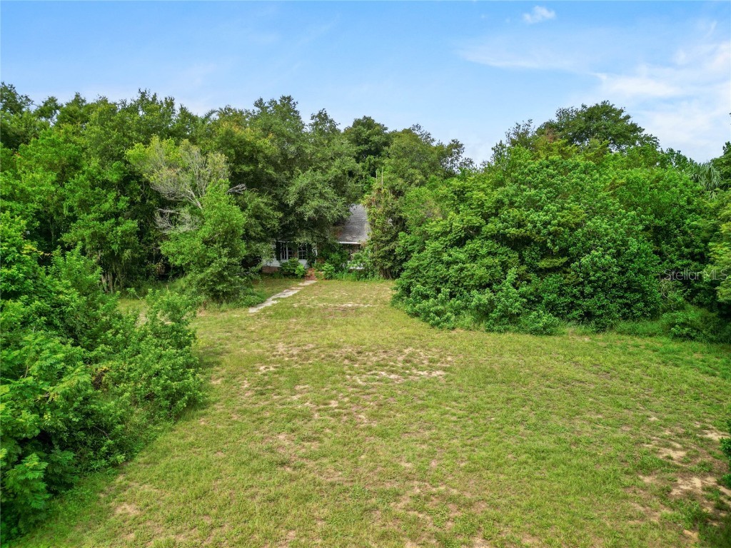 30035 State Road 19 Tavares FL 32778 O6233240 image3