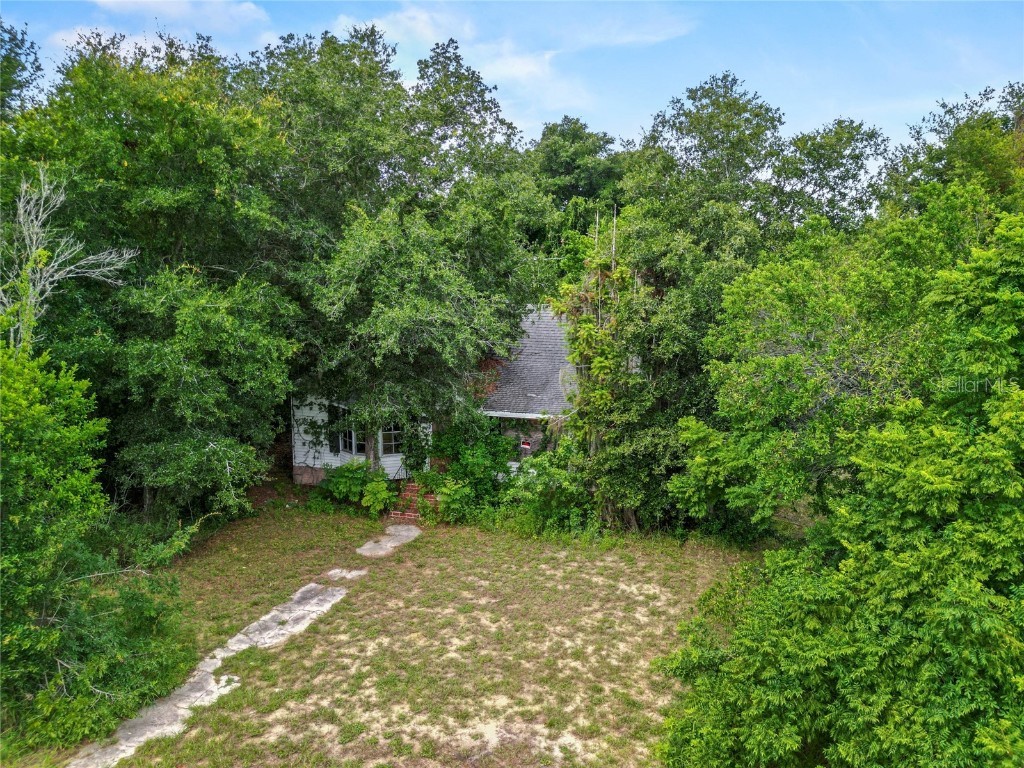 30035 State Road 19 Tavares FL 32778 O6233240 image4