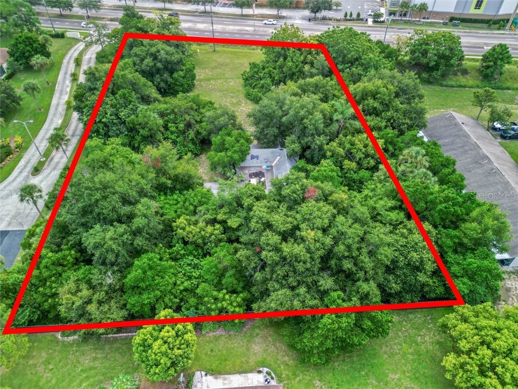 30035 State Road 19 Tavares FL 32778 O6233240 image7