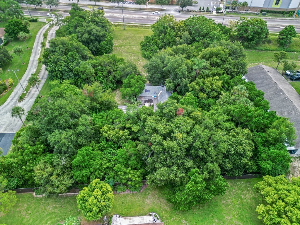 30035 State Road 19 Tavares FL 32778 O6233240 image9