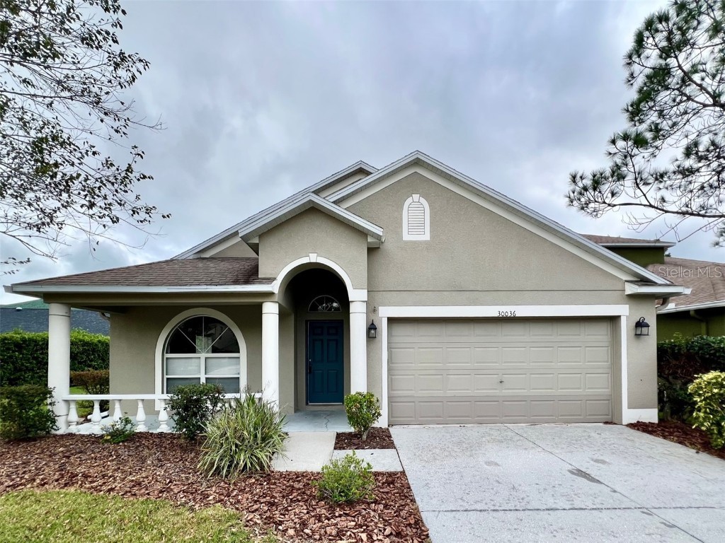 30036 Bermuda Dunes Way Wesley Chapel FL 33543 U8215306 image1