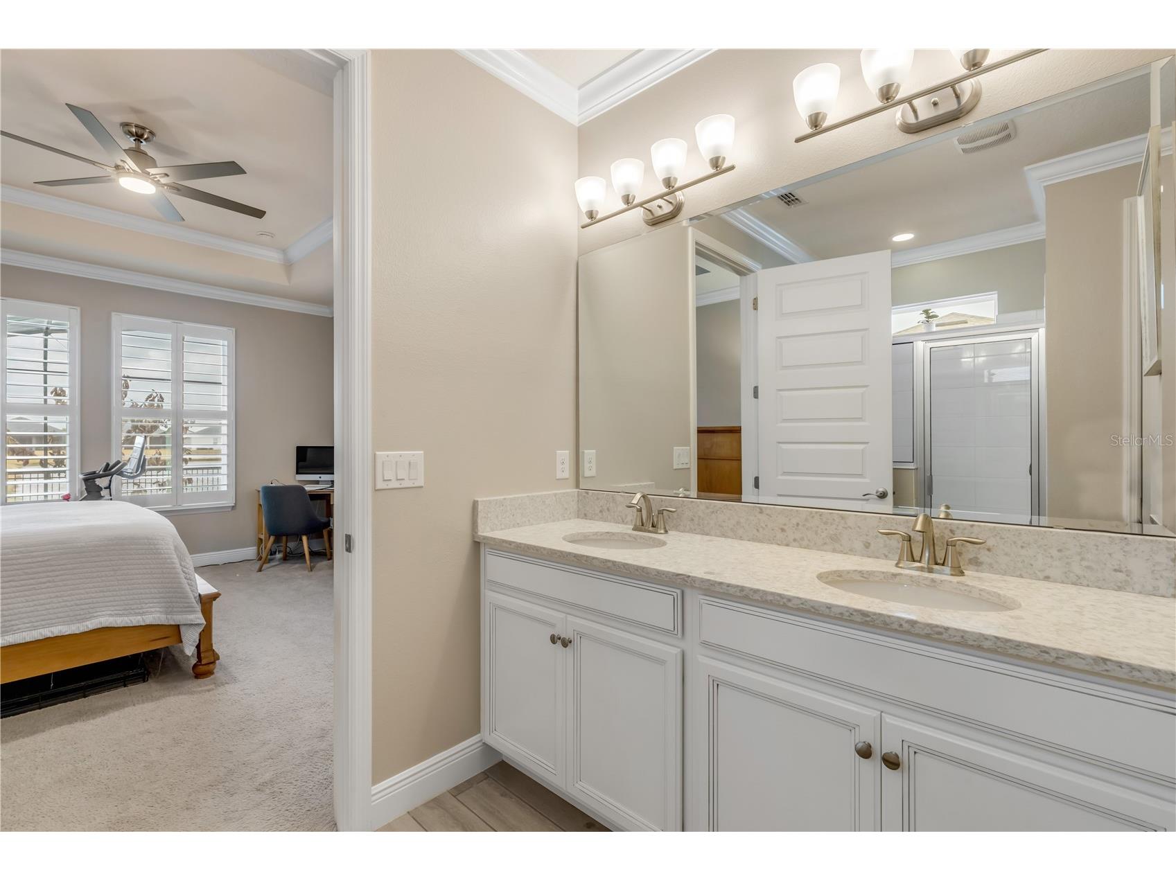 3004 Borassus Drive New Smyrna Beach FL 32168 NS1087419 image33