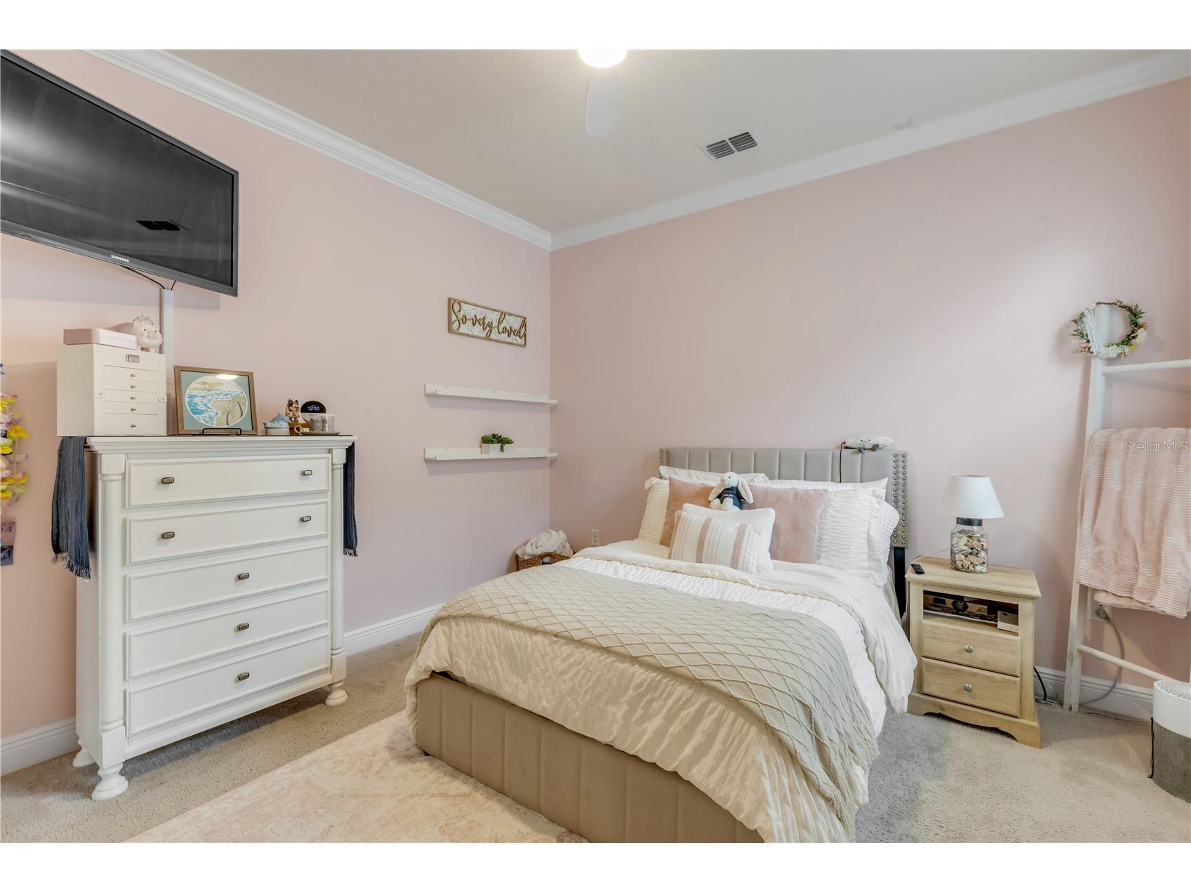 3004 Borassus Drive New Smyrna Beach FL 32168 NS1087419 image39