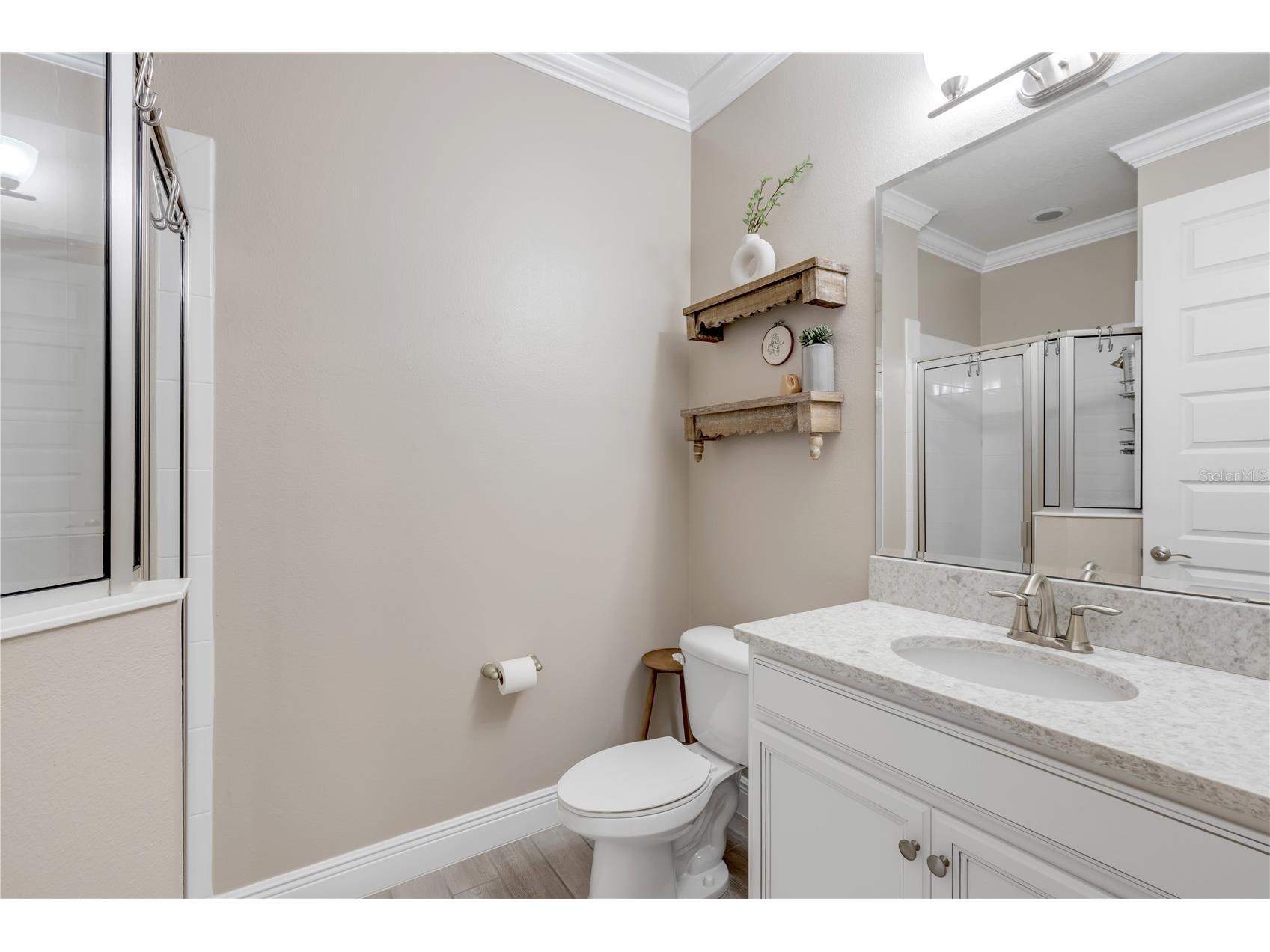 3004 Borassus Drive New Smyrna Beach FL 32168 NS1087419 image41