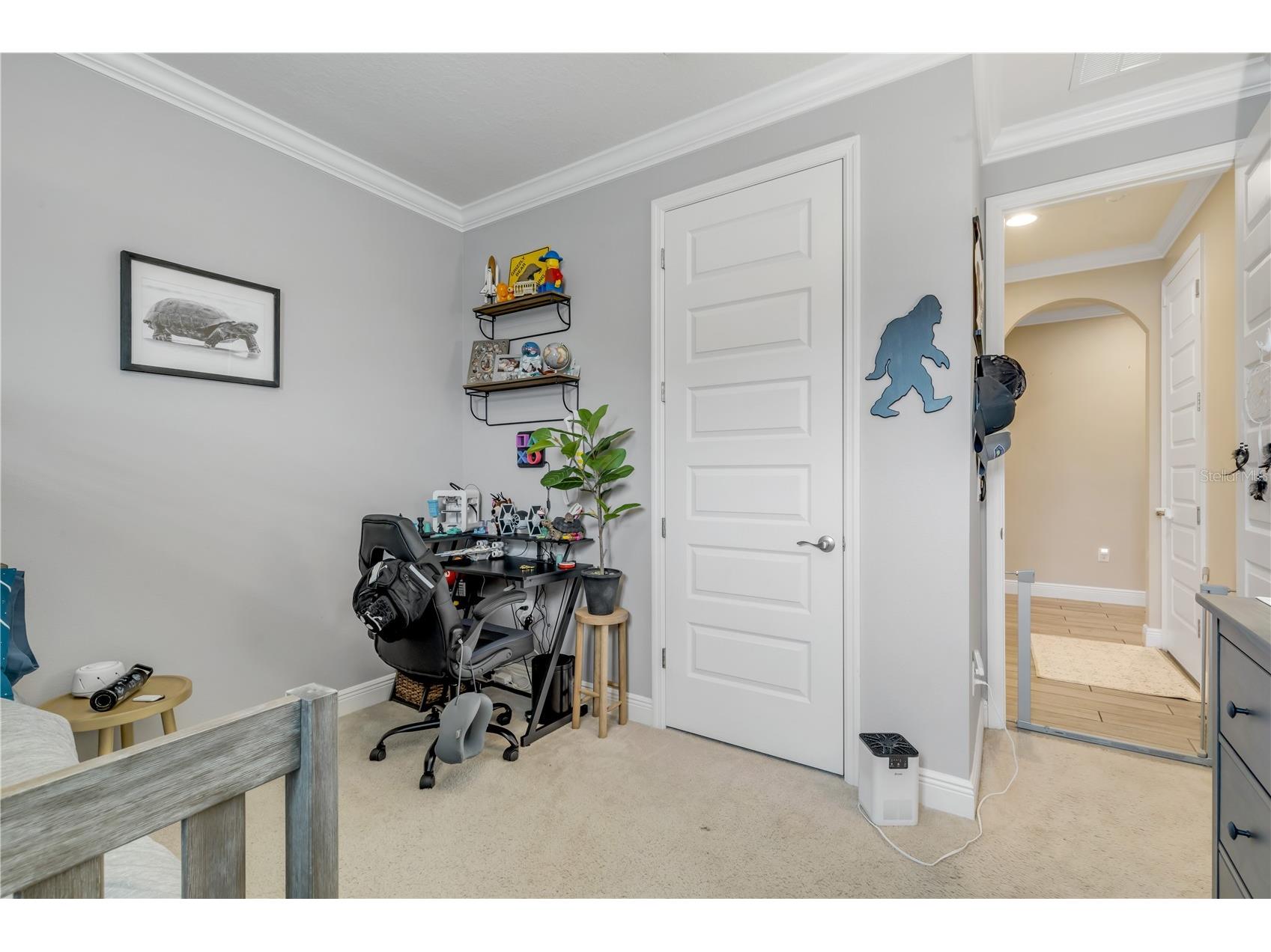 3004 Borassus Drive New Smyrna Beach FL 32168 NS1087419 image44