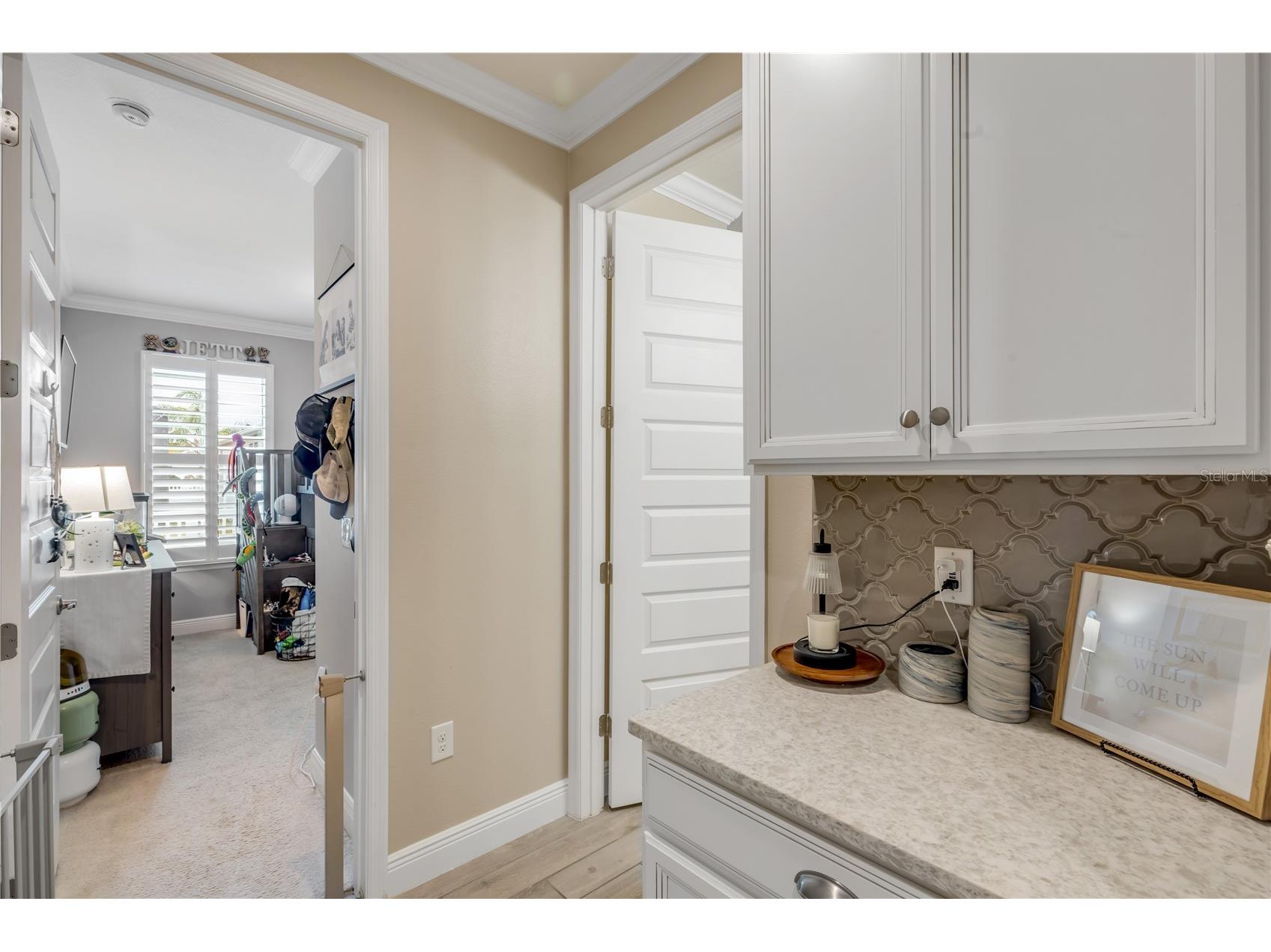3004 Borassus Drive New Smyrna Beach FL 32168 NS1087419 image45