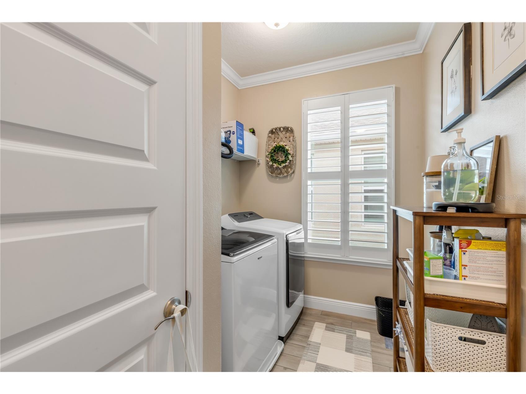 3004 Borassus Drive New Smyrna Beach FL 32168 NS1087419 image46