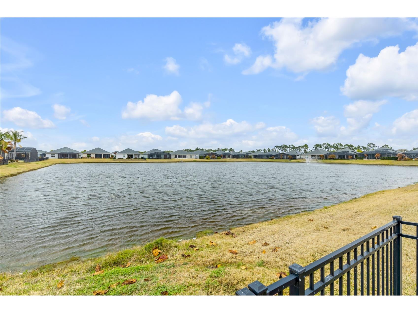 3004 Borassus Drive New Smyrna Beach FL 32168 NS1087419 image58