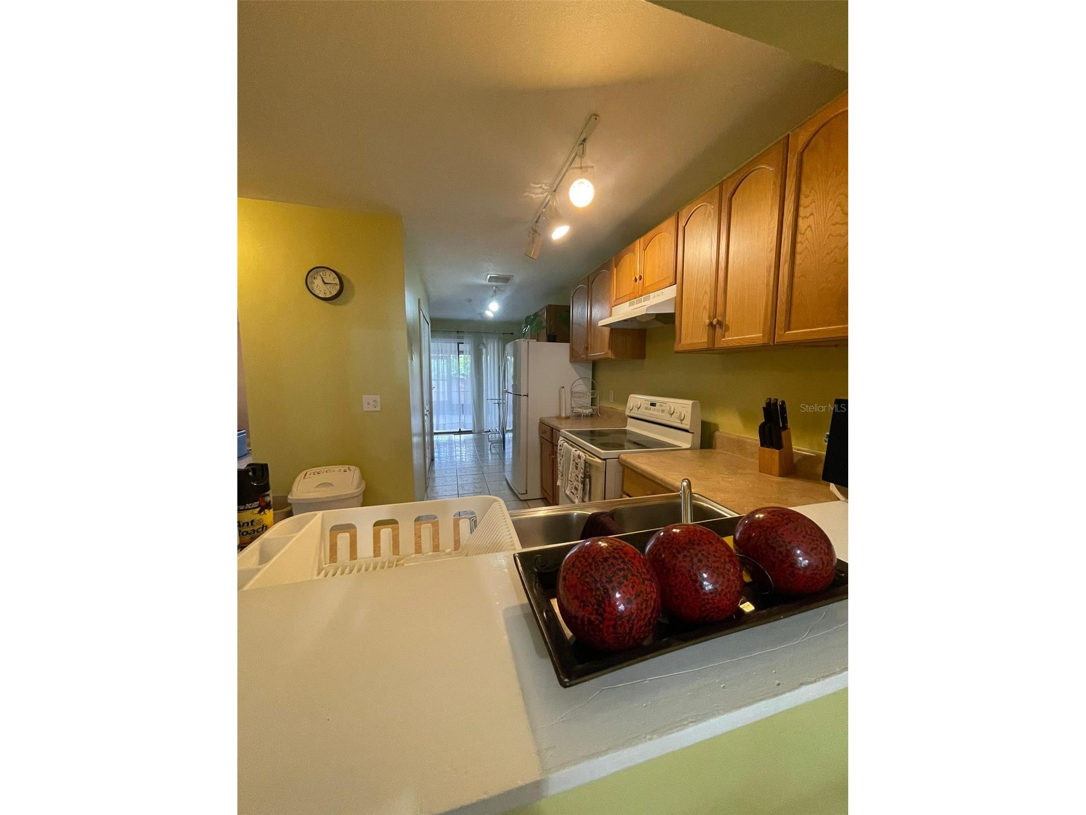 3004 Jon Jon Court Orlando FL 32822 O6421865 image5