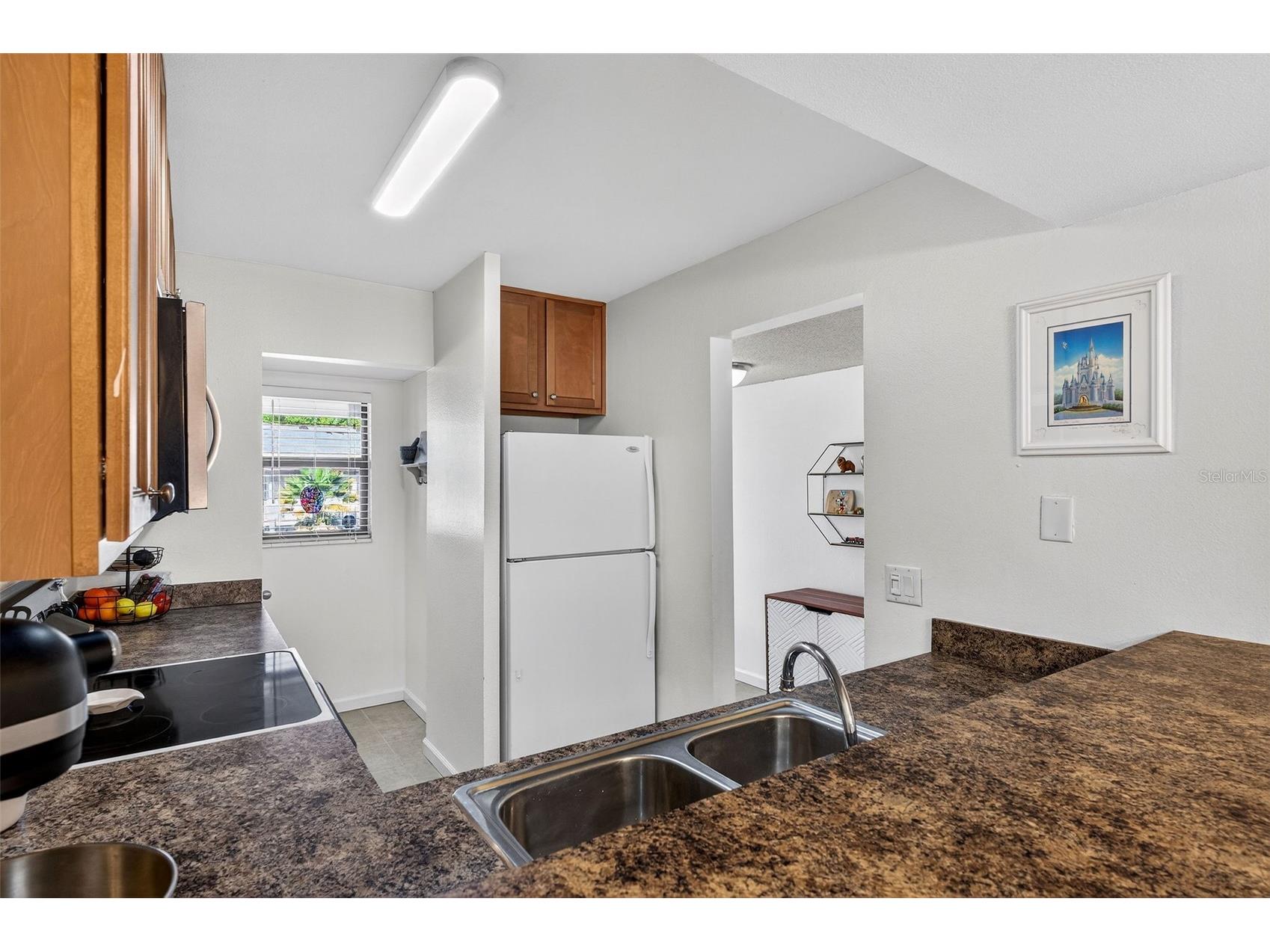 3004 Plaza Terrace Drive #3004 Orlando FL 32803 O6390840 image4