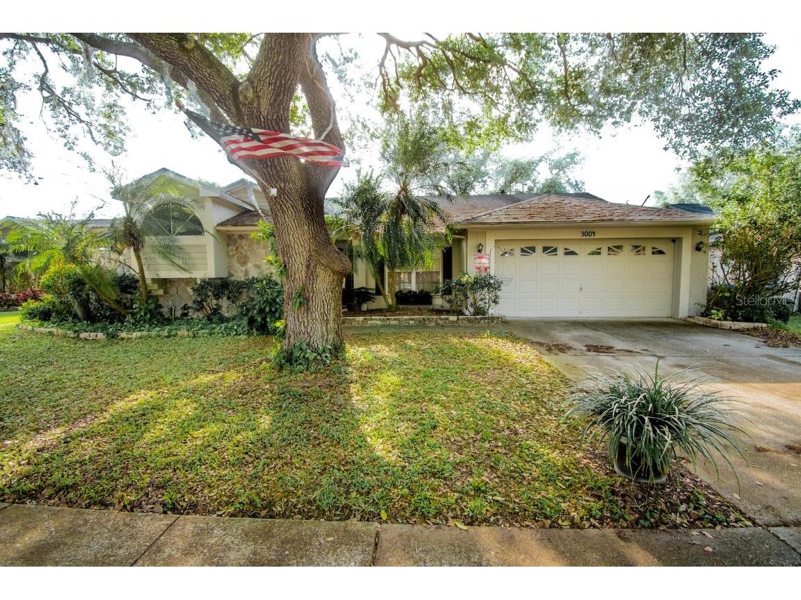 3004 Sprawling Oaks Place Valrico FL 33596 T3514028 image1
