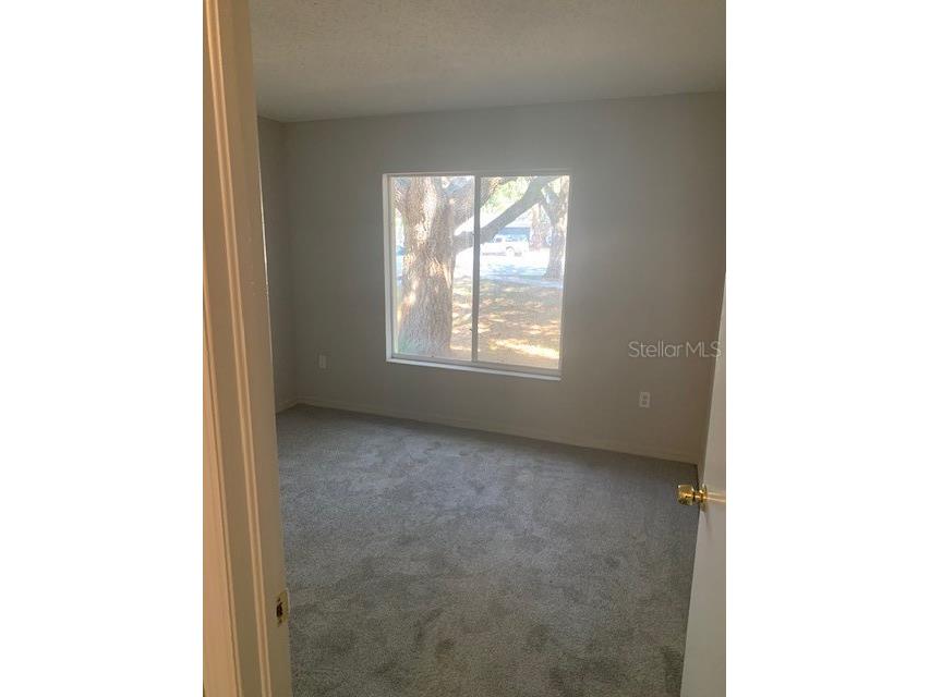 3004 Summer House Drive Valrico FL 33594 TB8451187 image7