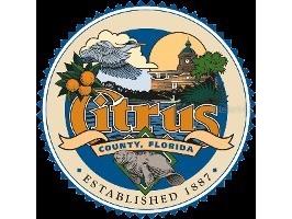 3004 W Kirkwood Place Dunnellon FL 34433 W7874439 image3