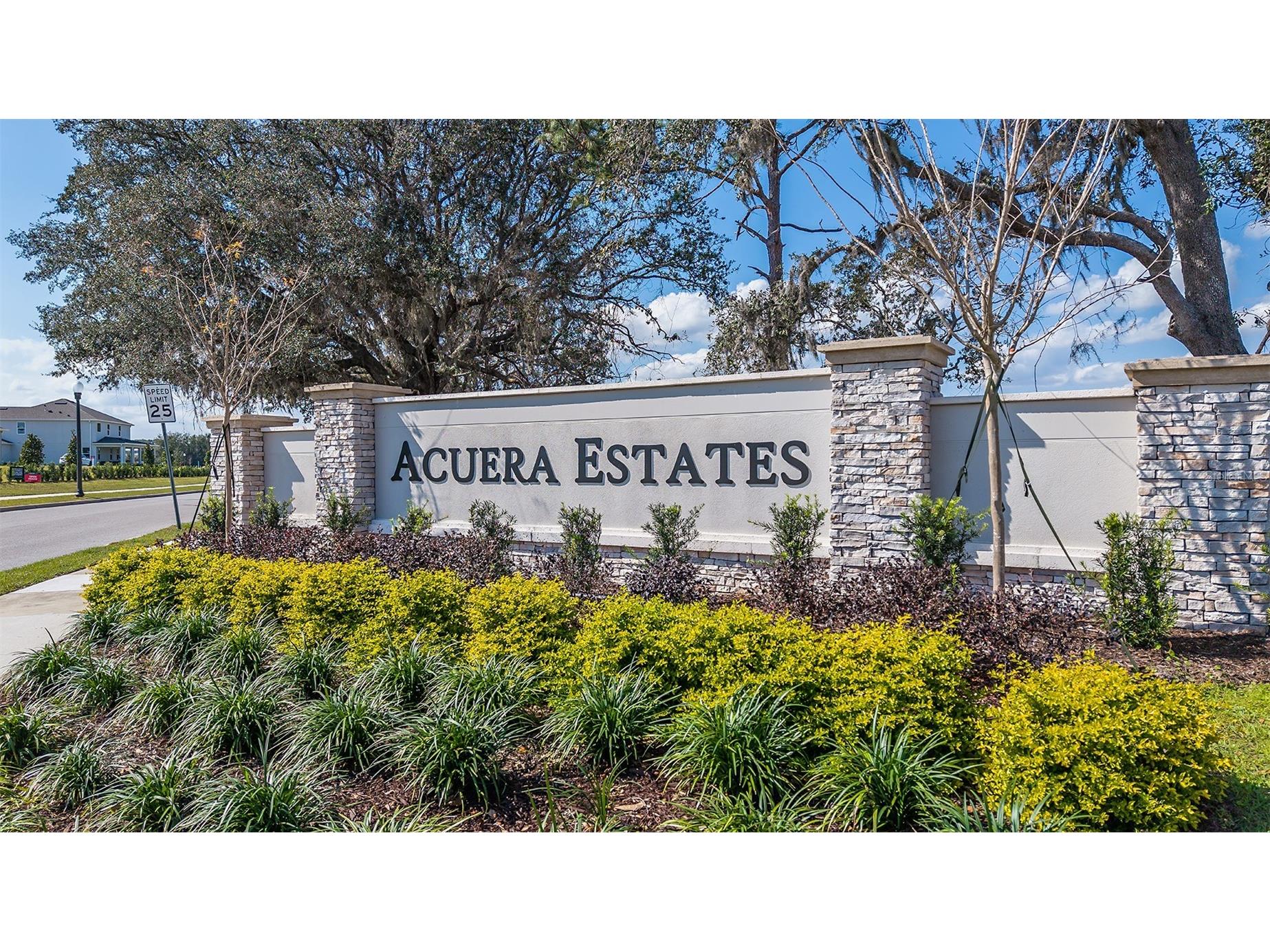 3004 Water Clover Court Apopka FL 32712 O6321647 image29