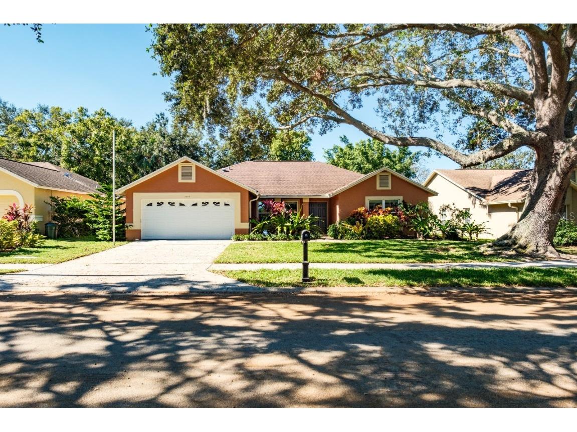 3004 Windridge Oaks Drive Palm Harbor FL 34684 TB8322703 image1