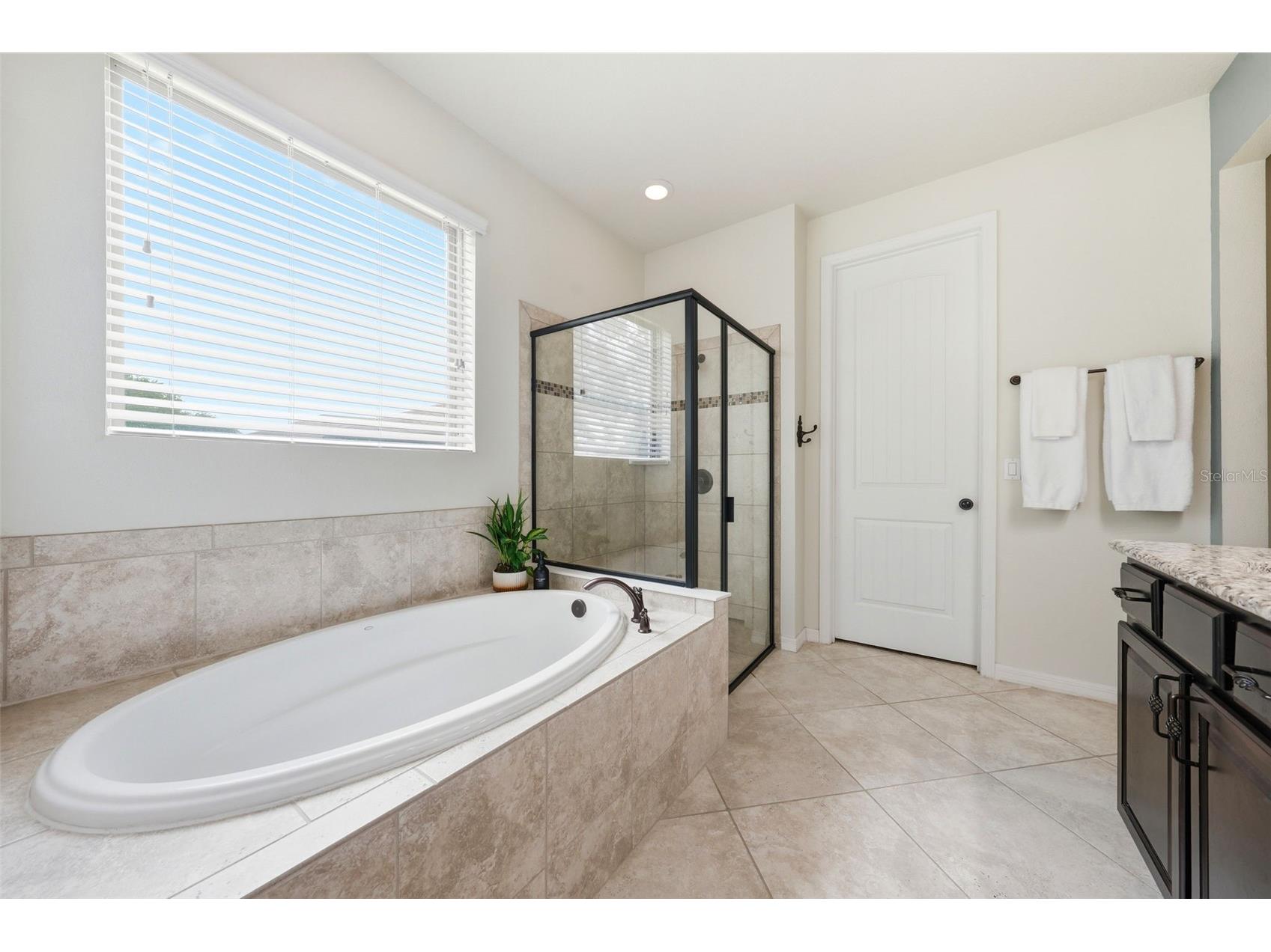 30040 Donnington Loop Mount Dora FL 32757 G5112879 image20