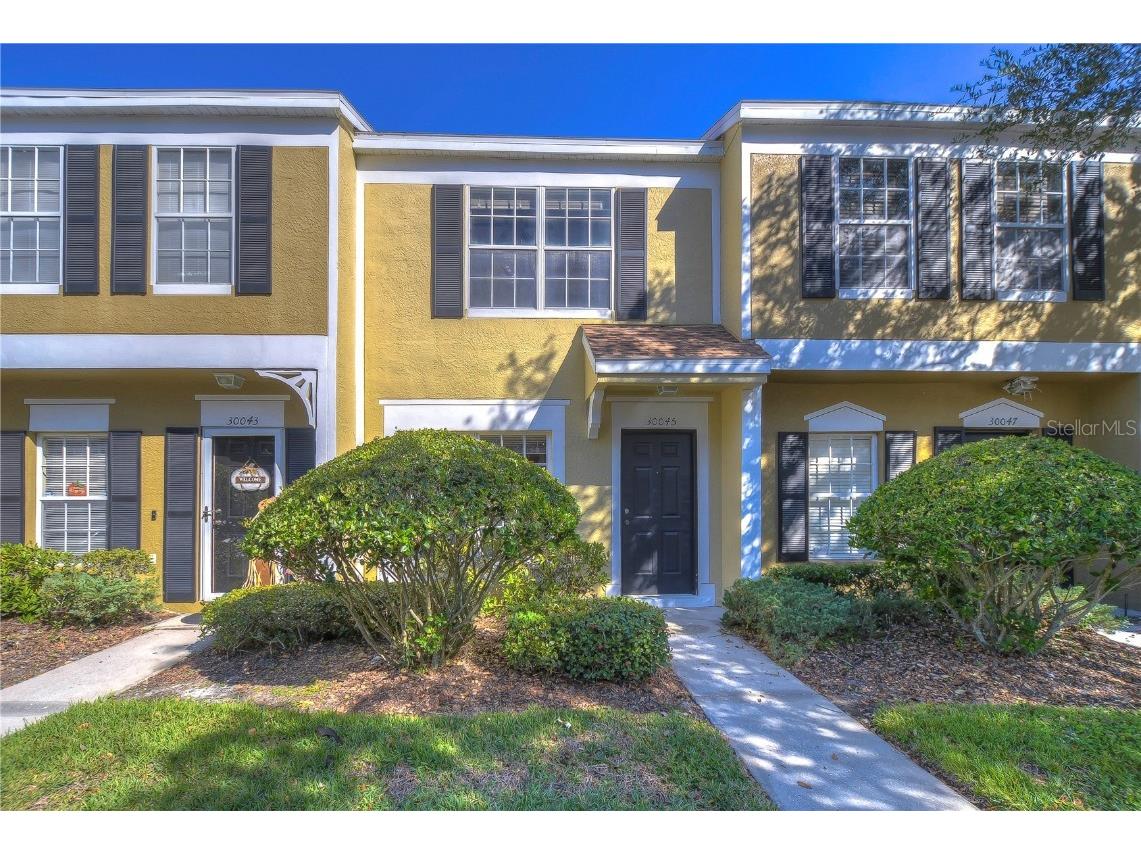 30045 Granda Hills Court Wesley Chapel FL 33543 T3484520 image1