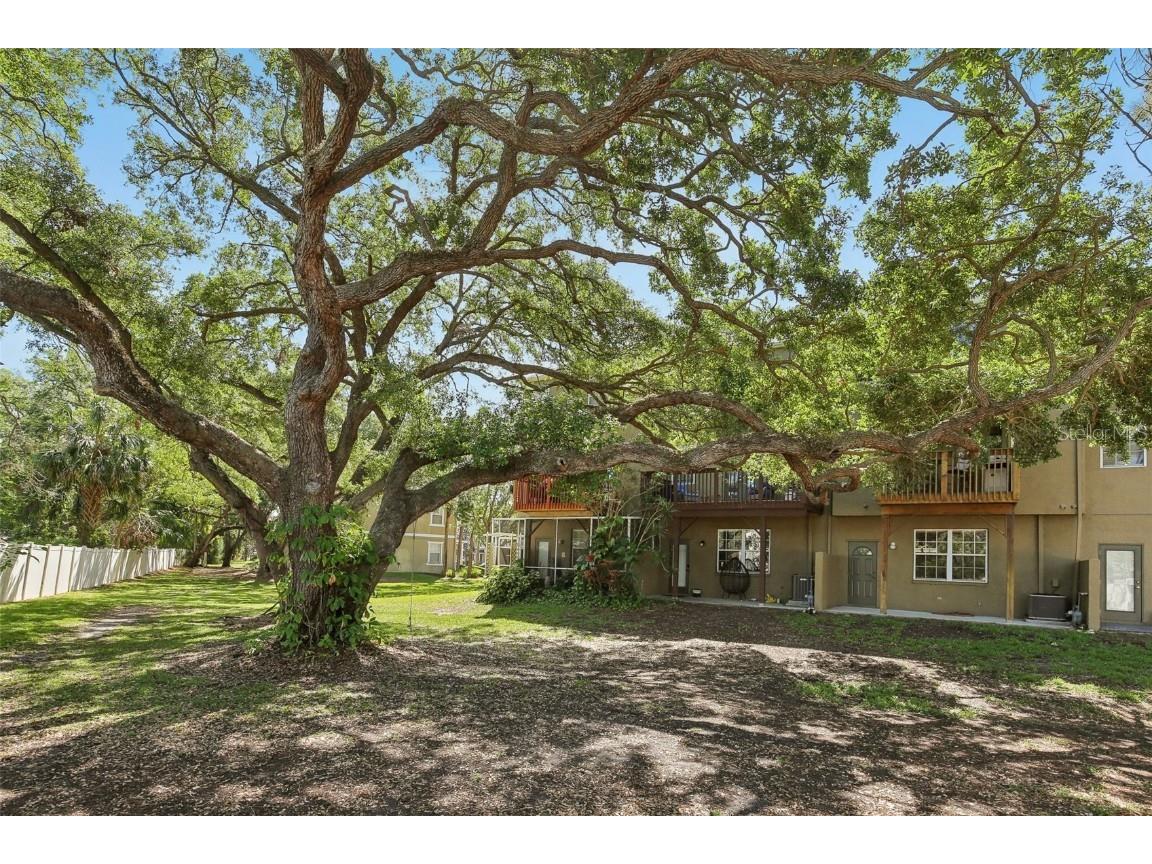 3005 Bayshore Pointe Drive Tampa FL 33611 TB8364634 image47