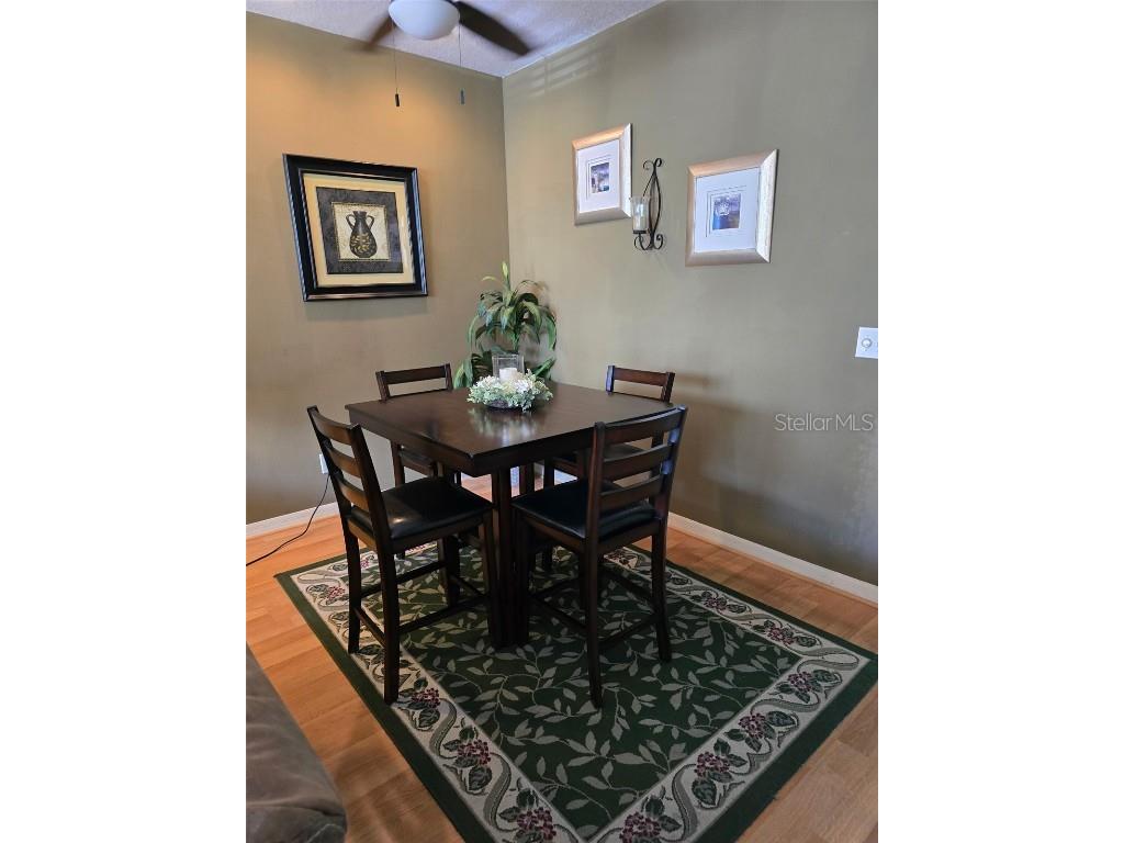 3005 Bayshore Pointe Drive Tampa FL 33611 TB8419293 image10