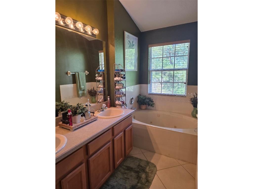 3005 Bayshore Pointe Drive Tampa FL 33611 TB8419293 image11