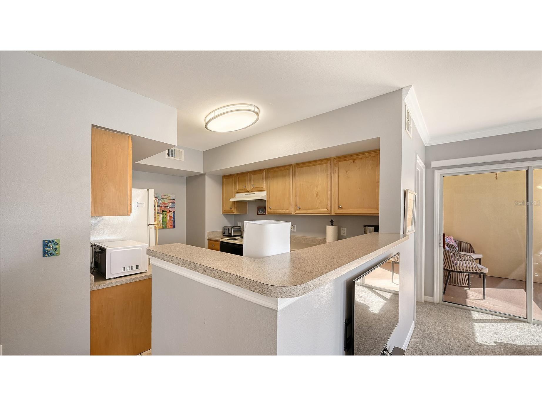 3005 Chianti Court #101 Sarasota FL 34237 A4683079 image6