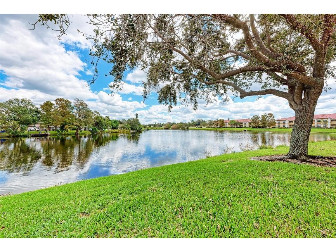 3005 Chianti Court #1003 Sarasota FL 34237 A4665754 image30