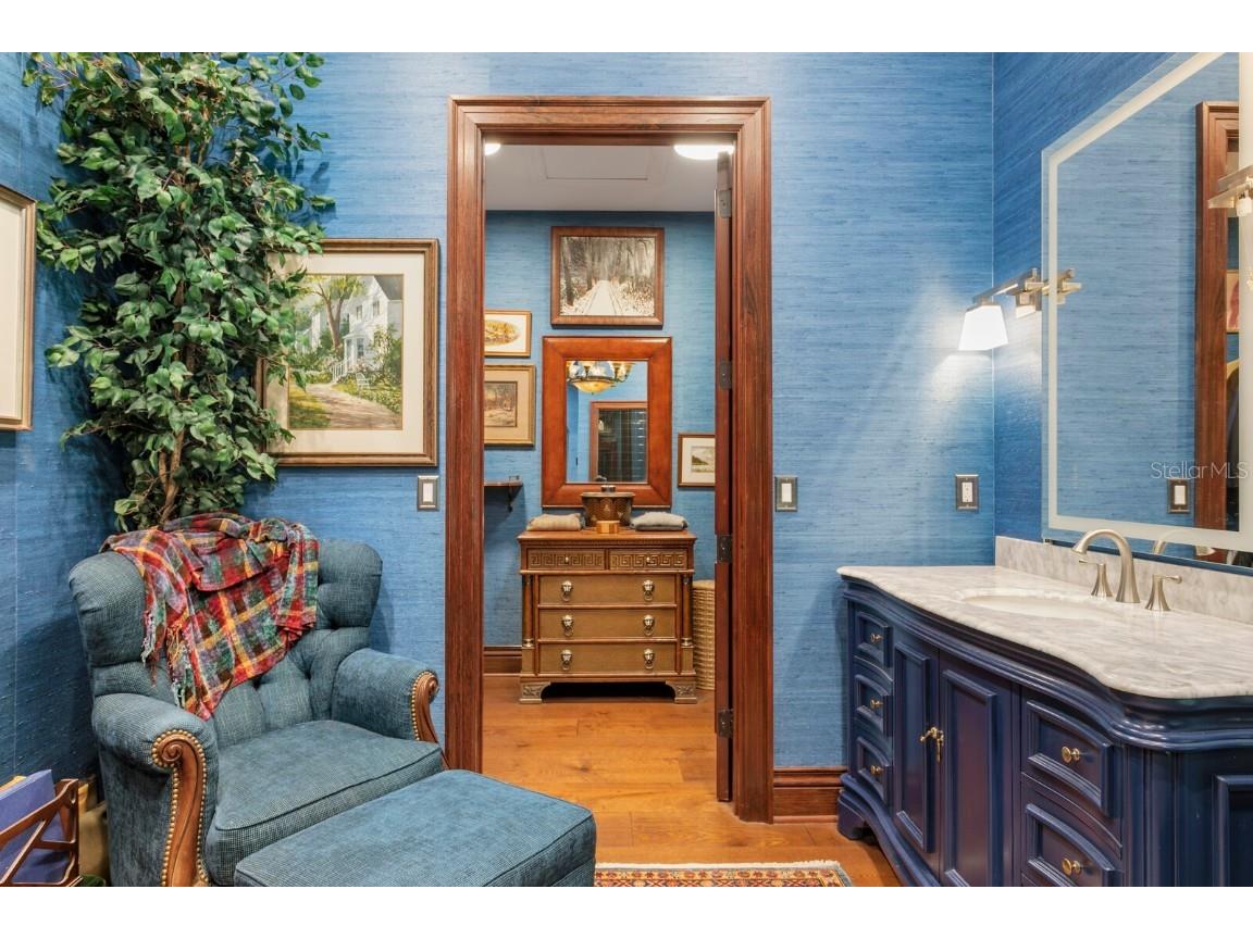 3005 S Miller Road Valrico FL 33596 TB8347618 image39