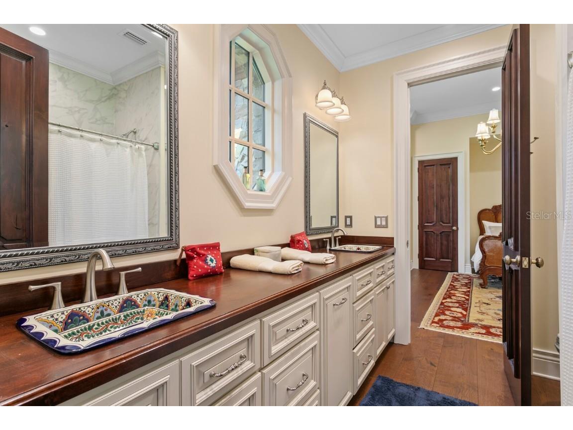 3005 S Miller Road Valrico FL 33596 TB8347618 image42