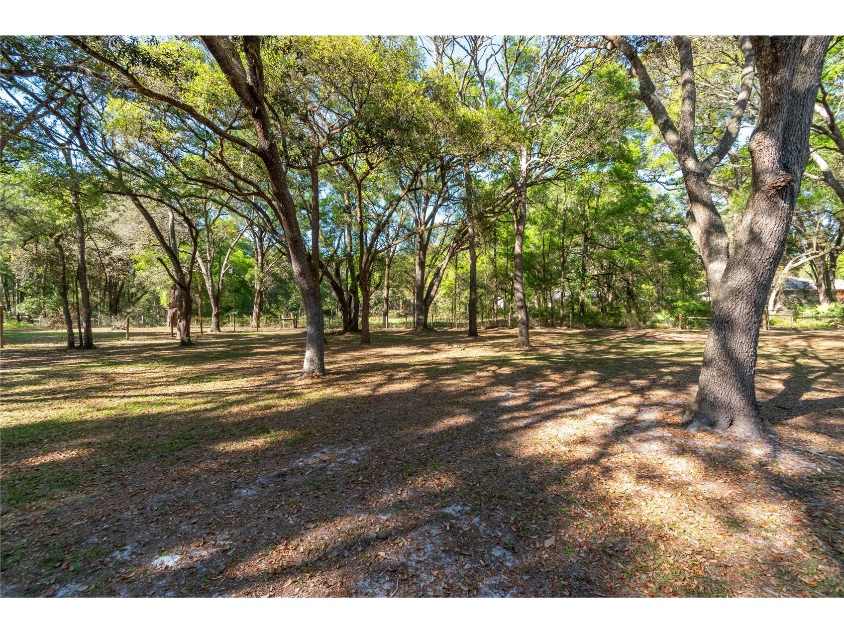 3005 SE 160th Lane Road Summerfield FL 34491 OM721461 image45