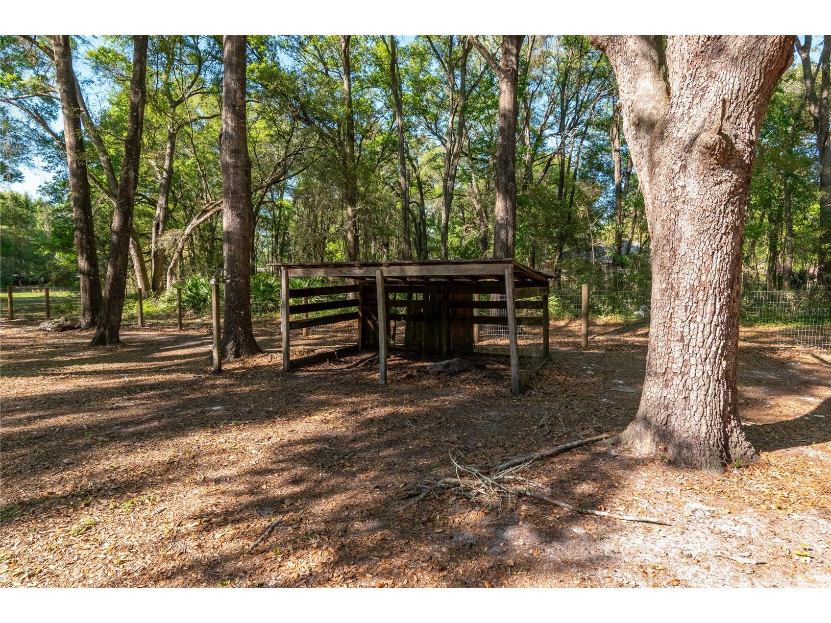 3005 SE 160th Lane Road Summerfield FL 34491 OM721461 image47