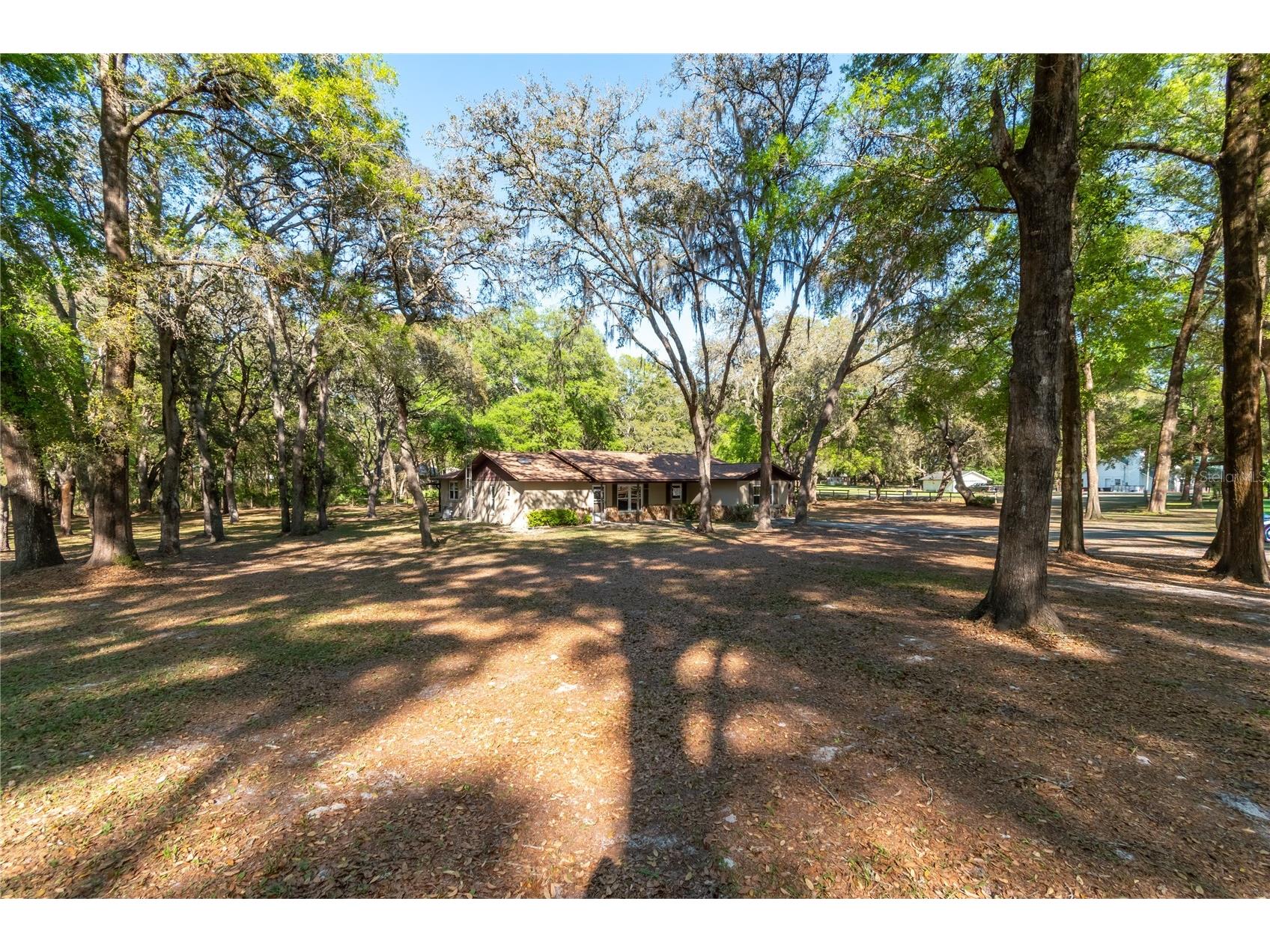 3005 SE 160th Lane Road Summerfield FL 34491 OM721461 image51