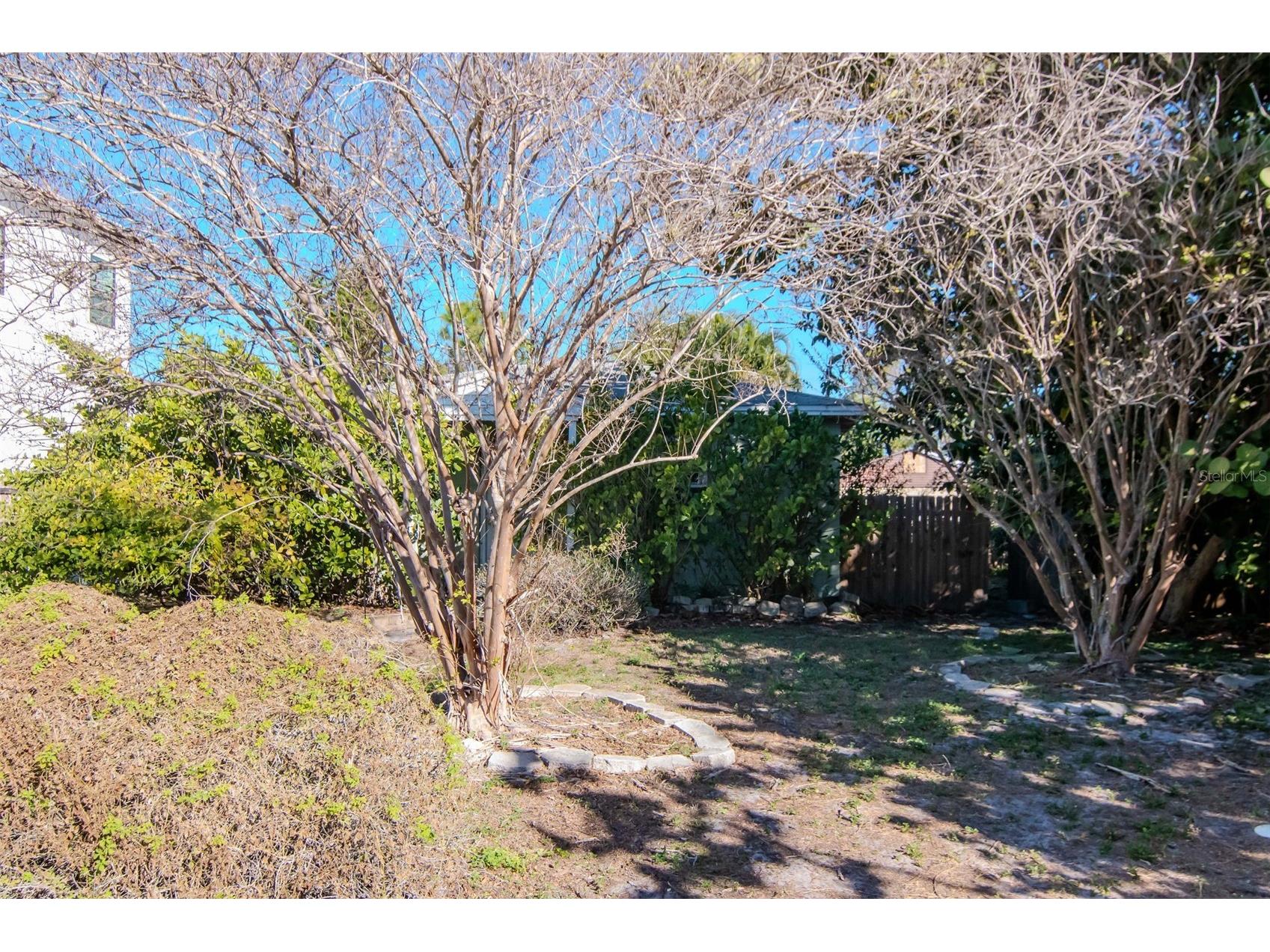 3005 W Meadow Street Tampa FL 33611 TB8466633 image2