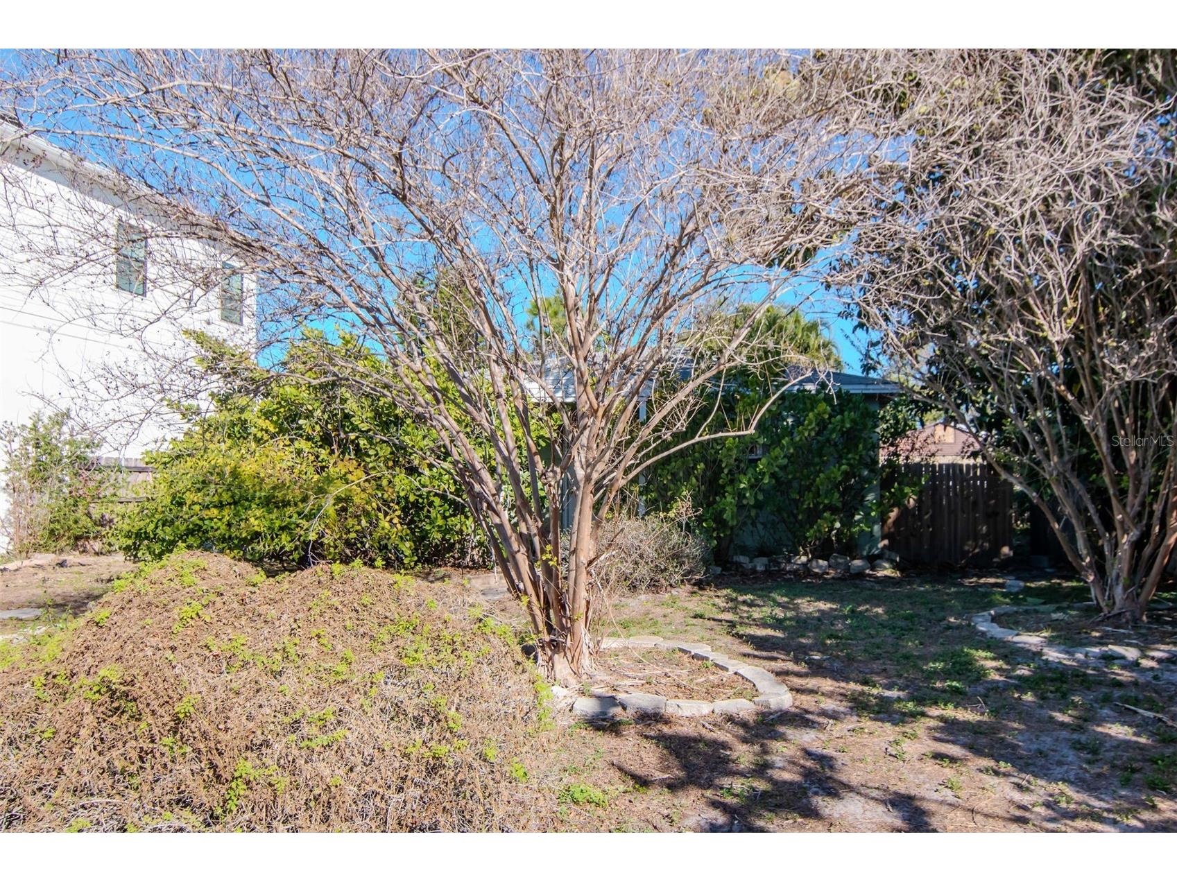 3005 W Meadow Street Tampa FL 33611 TB8469335 image3