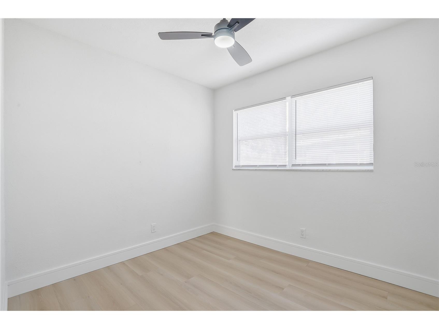 3005 W Saint Conrad Street Tampa FL 33607 TB8506825 image20