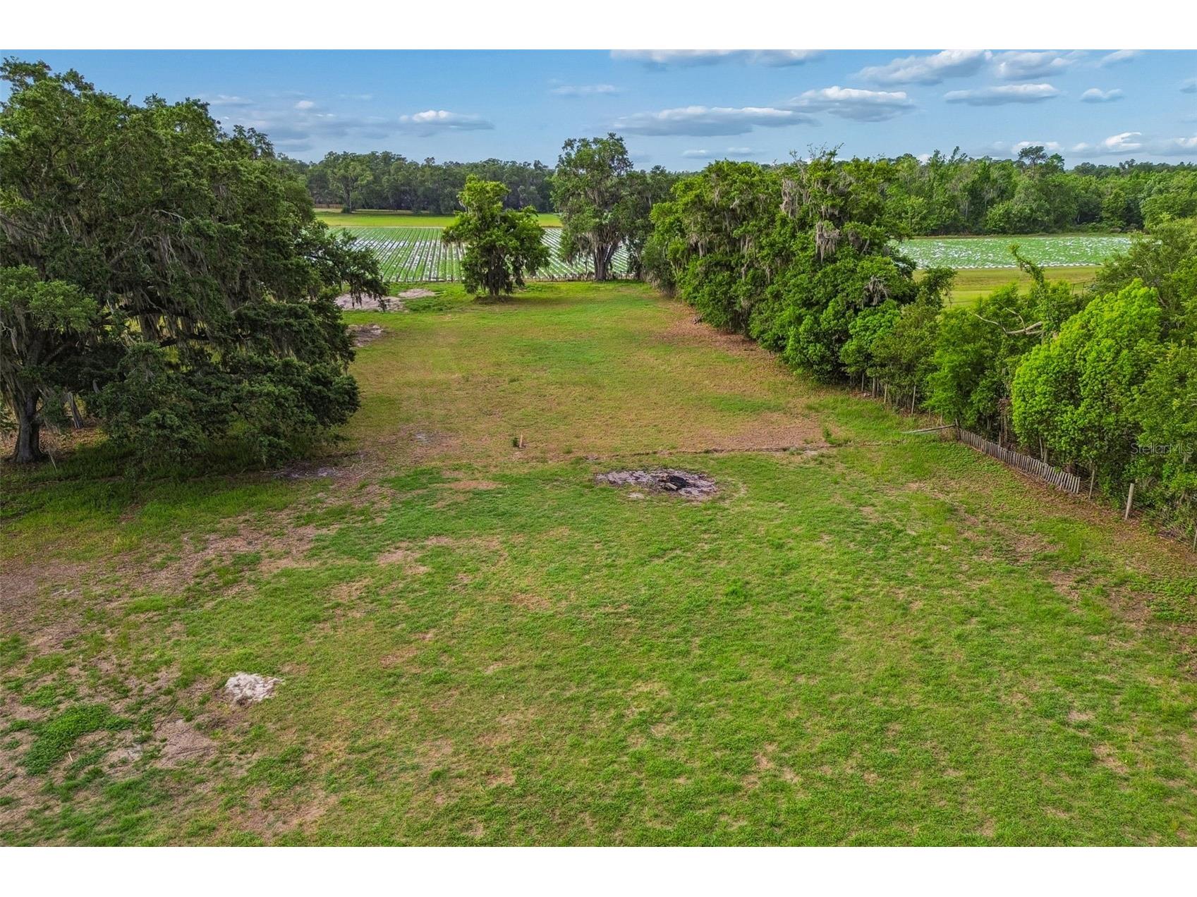 3005 W Sam Allen Road Plant City FL 33565 TB8493008 image24