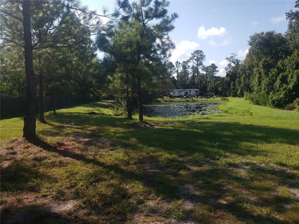 30050 Cinnamon Avenue Eustis FL 32726 - LAKE NORRIS O6142474 image1