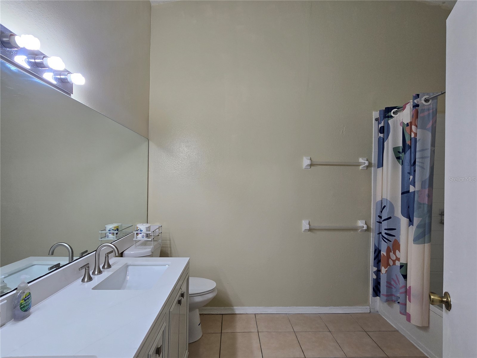 30058 Granda Hills Court Wesley Chapel FL 33543 TB8491821 image22