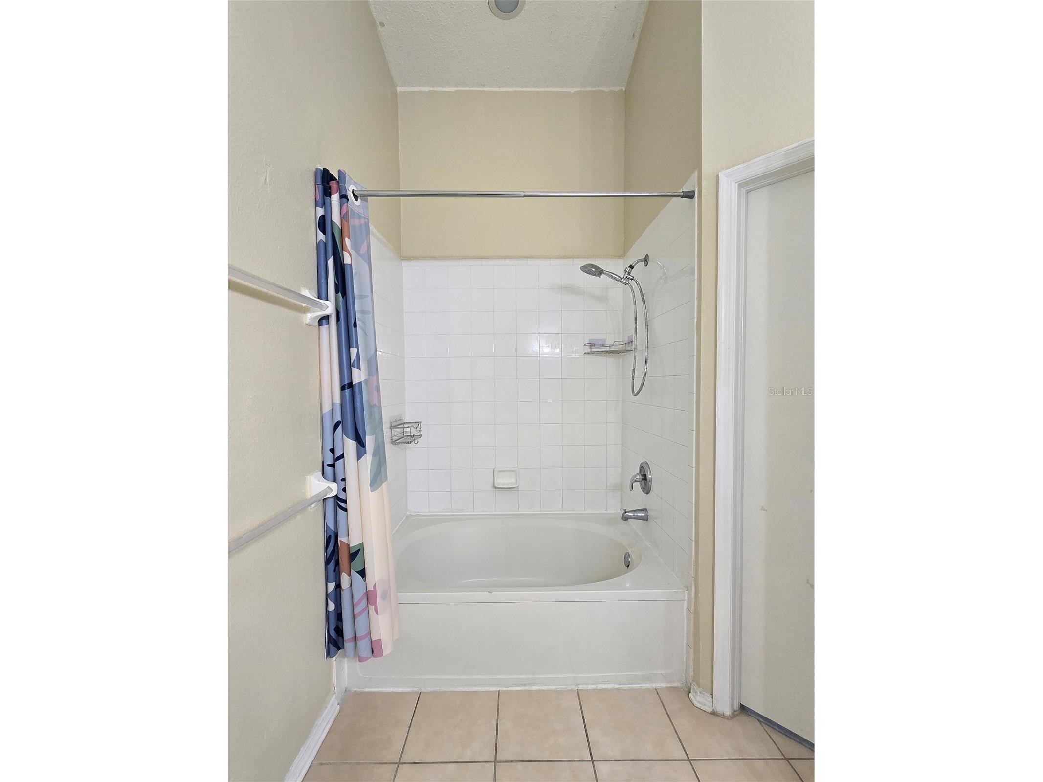 30058 Granda Hills Court Wesley Chapel FL 33543 TB8491821 image23