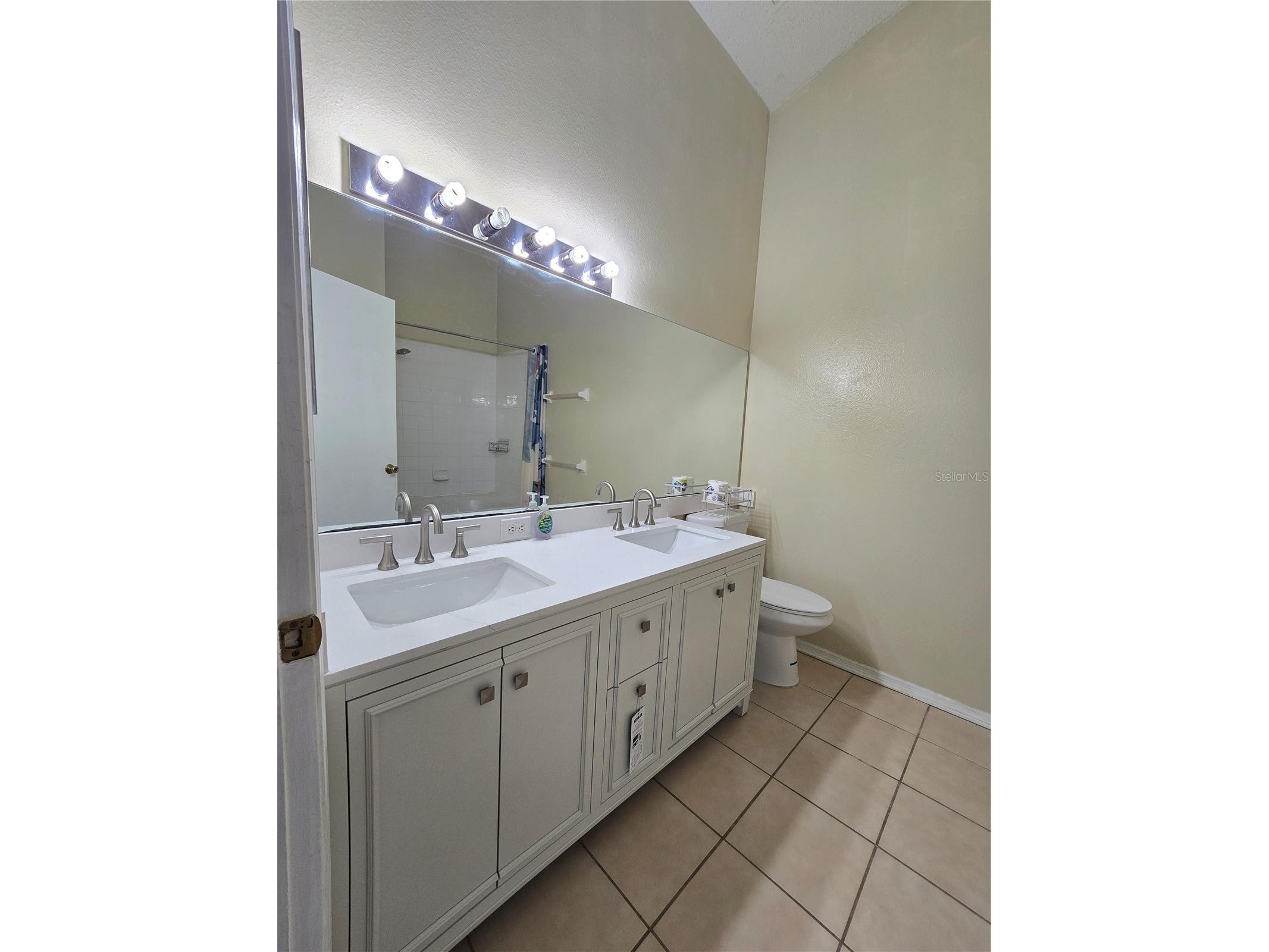 30058 Granda Hills Court Wesley Chapel FL 33543 TB8491821 image24