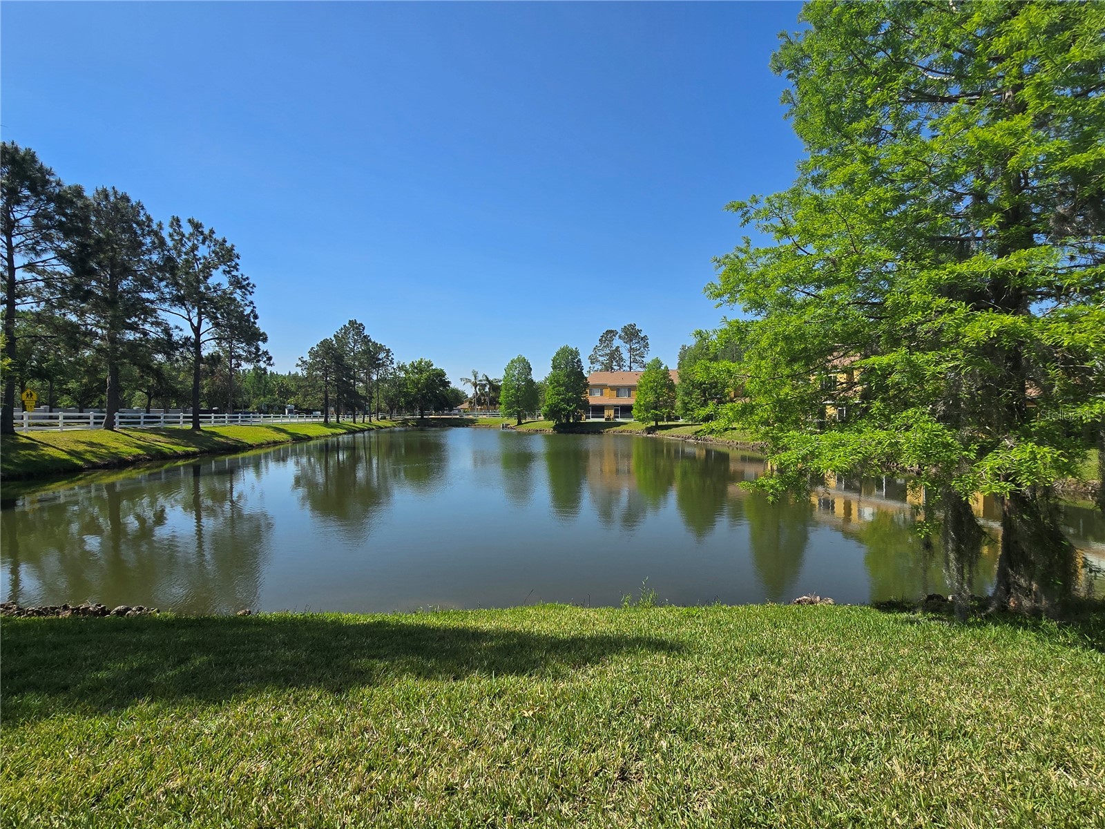 30058 Granda Hills Court Wesley Chapel FL 33543 TB8491821 image32