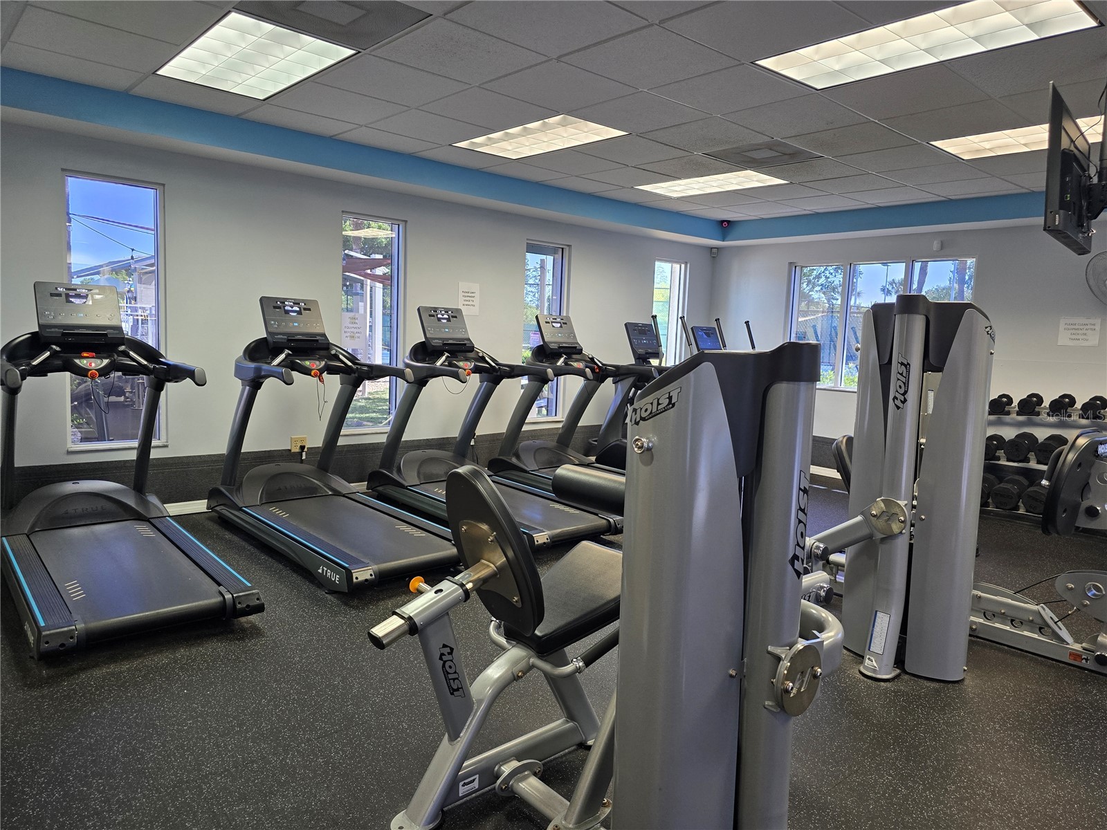 30058 Granda Hills Court Wesley Chapel FL 33543 TB8491821 image42