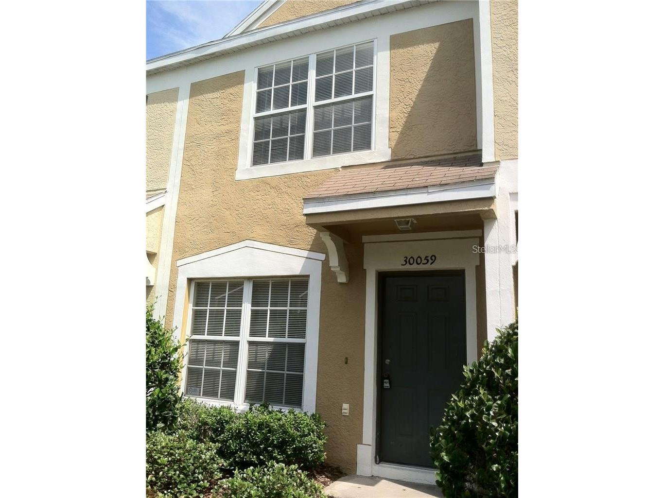 30059 Granda Hills Court Wesley Chapel FL 33543 TB8495403 image1