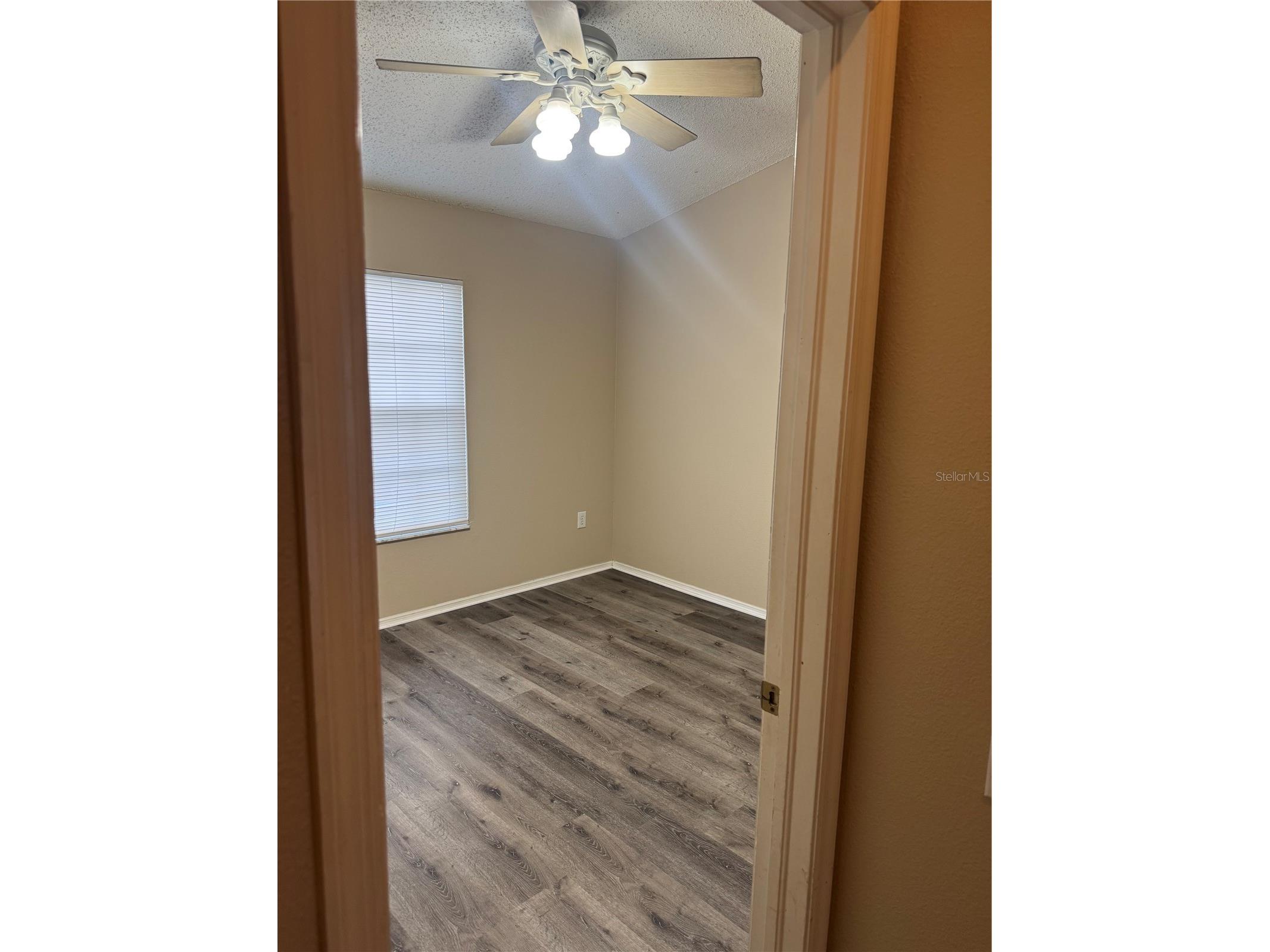 30059 Granda Hills Court Wesley Chapel FL 33543 TB8495403 image13