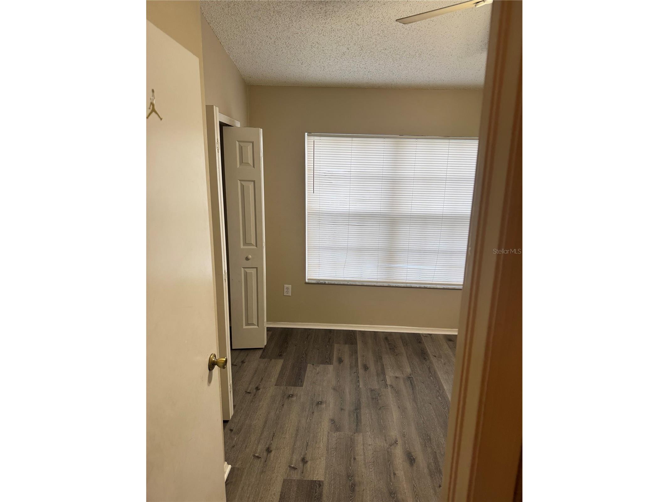 30059 Granda Hills Court Wesley Chapel FL 33543 TB8495403 image14