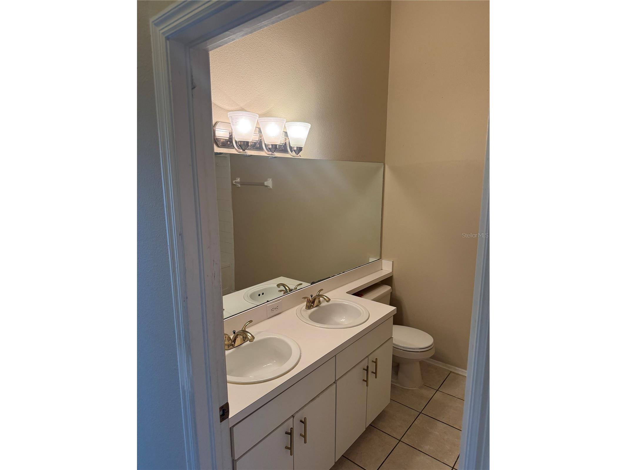 30059 Granda Hills Court Wesley Chapel FL 33543 TB8495403 image19