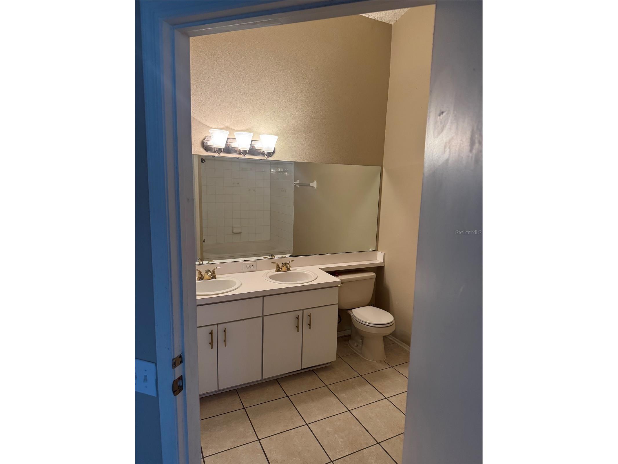 30059 Granda Hills Court Wesley Chapel FL 33543 TB8495403 image20