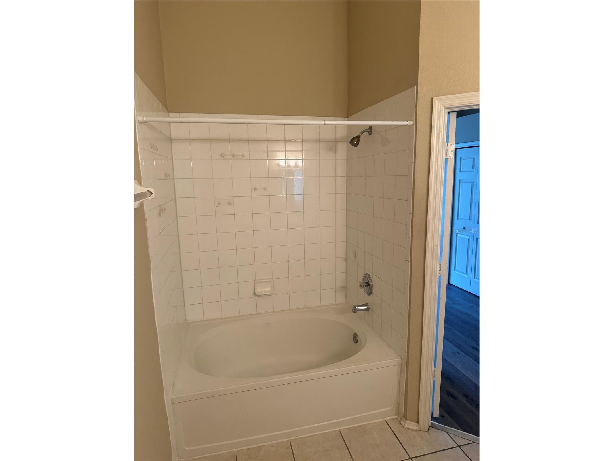 30059 Granda Hills Court Wesley Chapel FL 33543 TB8495403 image21