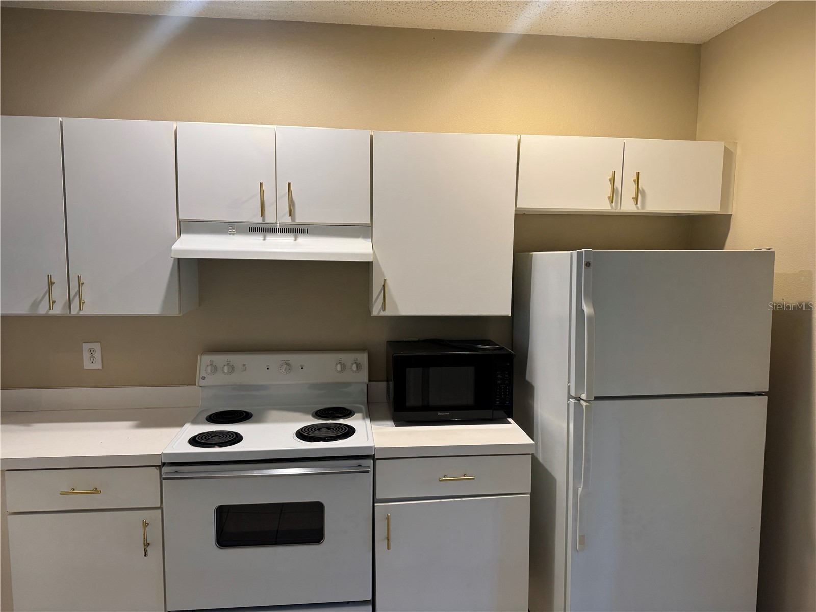 30059 Granda Hills Court Wesley Chapel FL 33543 TB8495403 image7
