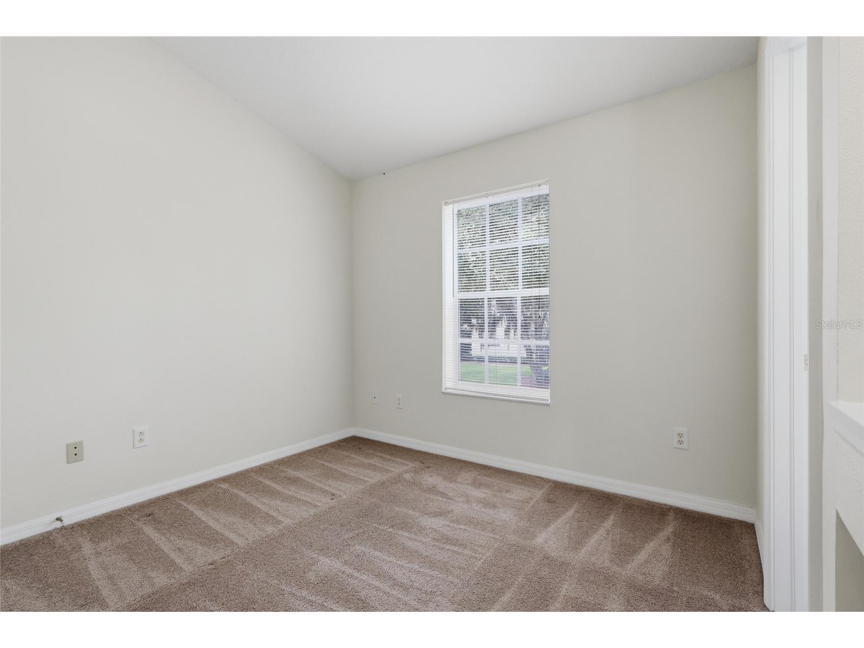 3006 Amber Oak Drive Valrico FL 33594 TB8531898 image12