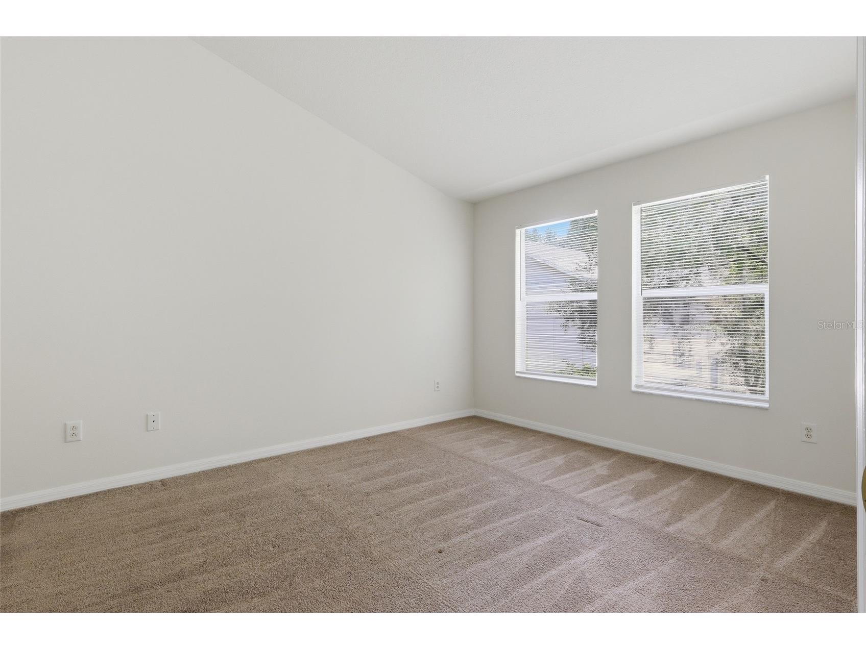 3006 Amber Oak Drive Valrico FL 33594 TB8531898 image16
